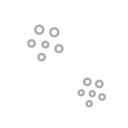 Icon for Infection Control